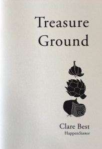 Treasure Ground by Clare Best - cover